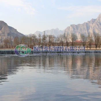 Spillway Gate nan Dam