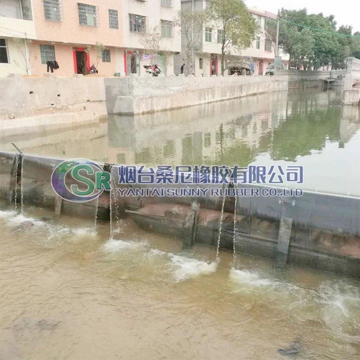 Gill devèsman pou Jesyon Inondasyon