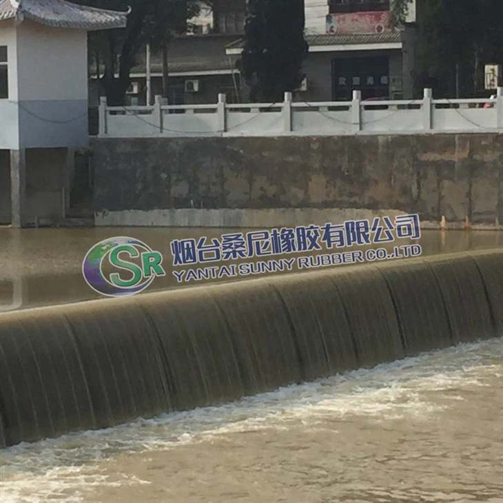 Kawotchou enflatab sak sipò 304Steel/Kabòn Steel Gate